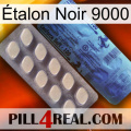 Étalon Noir 9000 34
